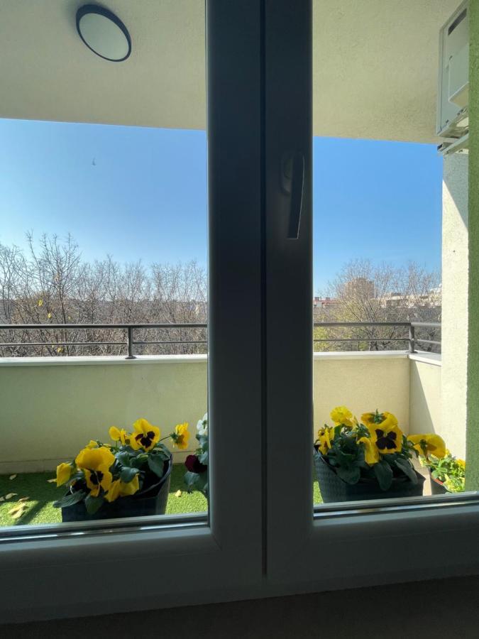 Sunny Studio Apartment Novi Sad Exterior photo